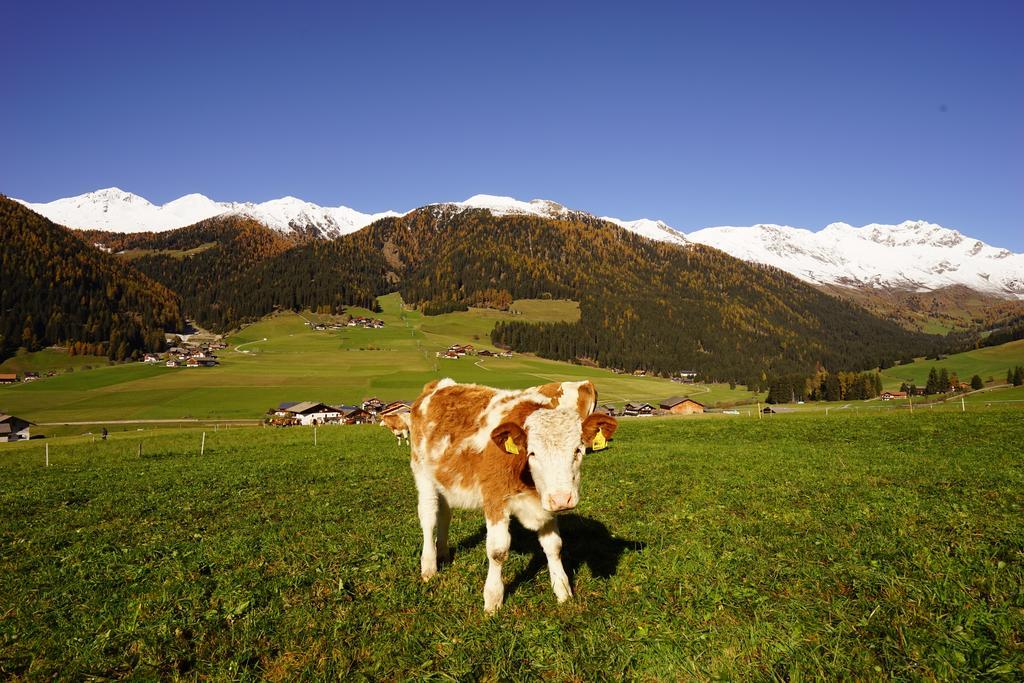 Unterhabererhof Apartment Santa Maddalena in Casies Exterior photo