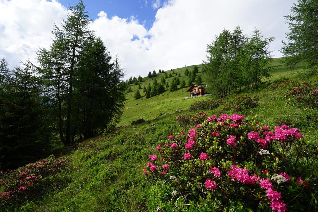 Unterhabererhof Apartment Santa Maddalena in Casies Exterior photo